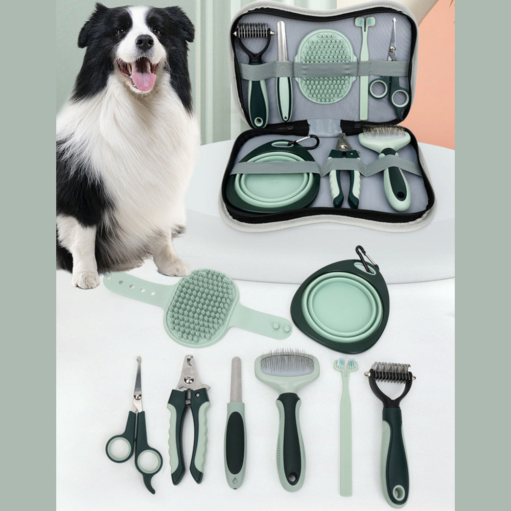 Professional Pet Grooming Kit