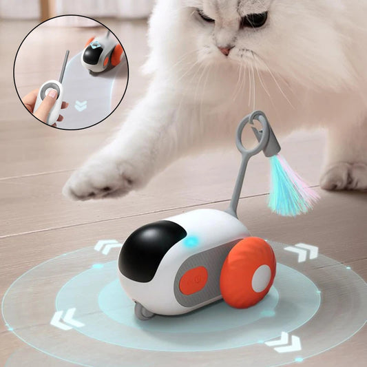 Remote Control Interactive Pet Car Toy