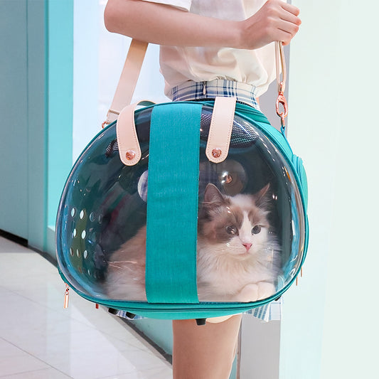 Transparent Small Pet Travel Bag