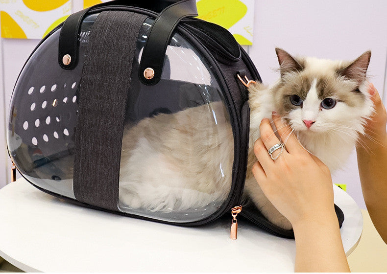 Transparent Small Pet Travel Bag