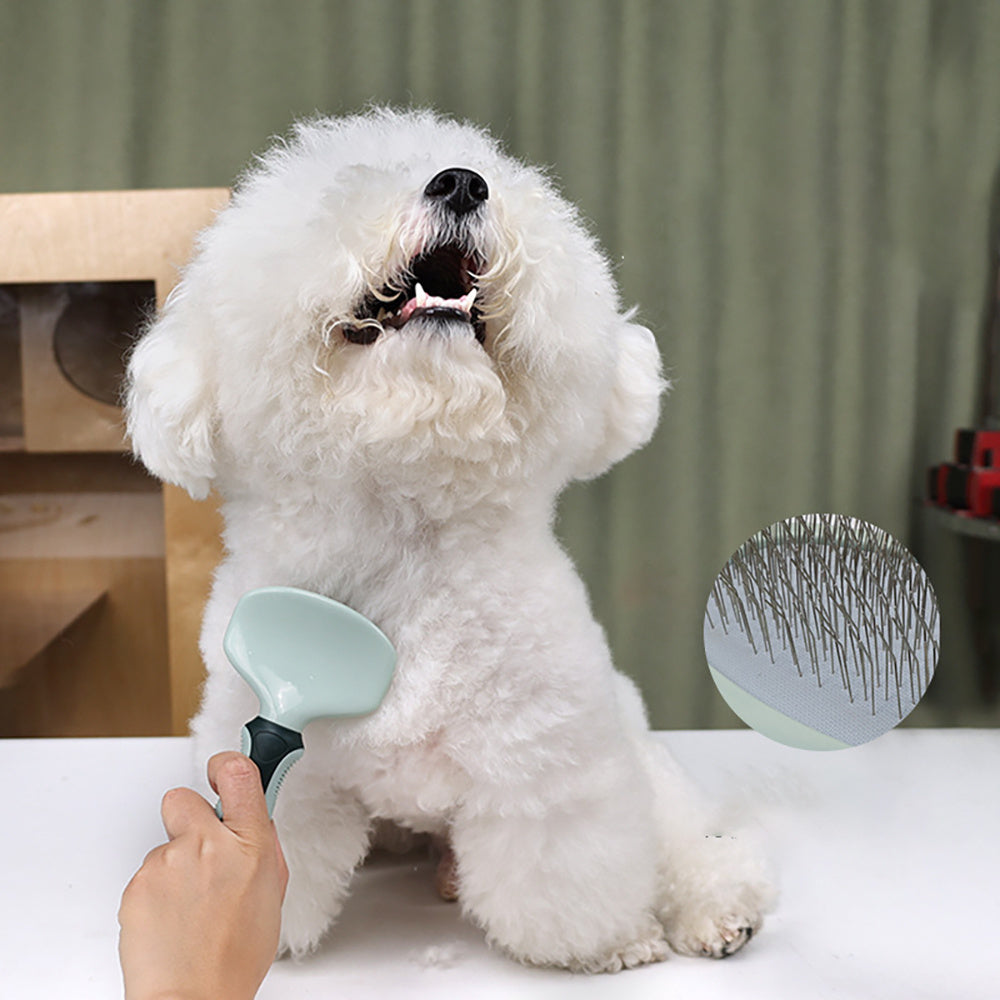 Professional Pet Grooming Kit