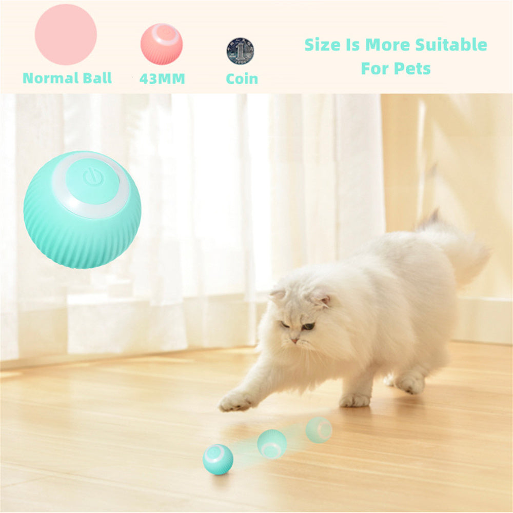 Pet Automatic Rotating Ball