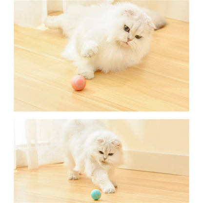 Pet Automatic Rotating Ball